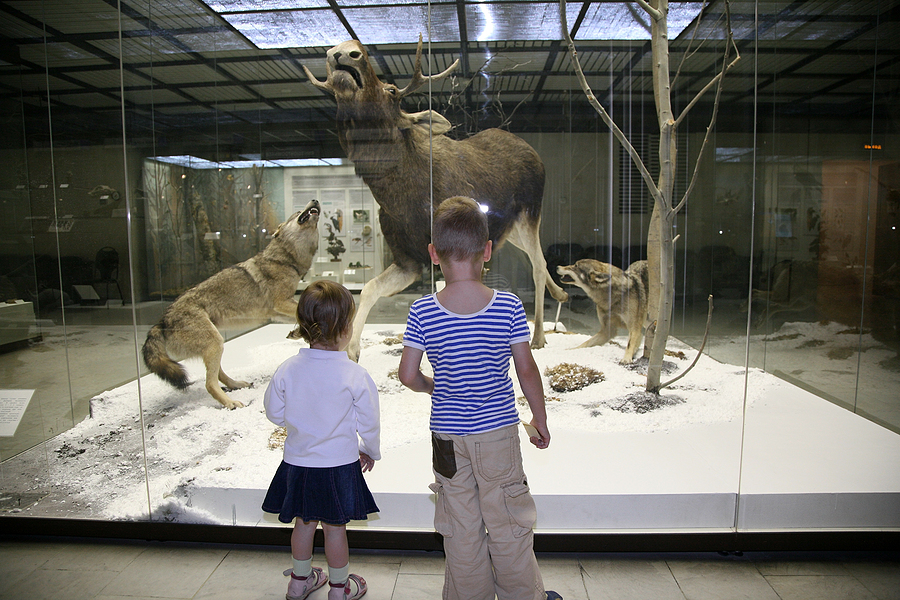 Children at Museum