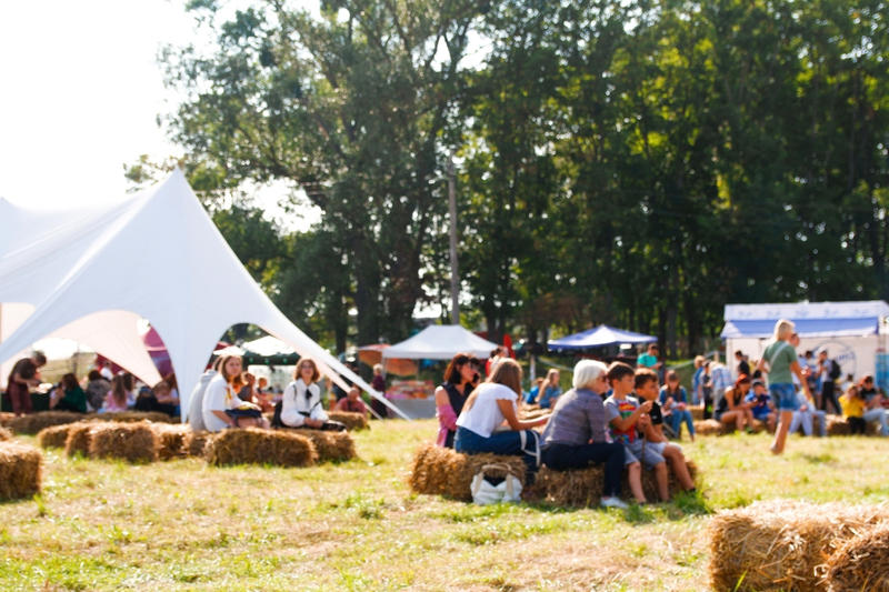 Families at a Festival