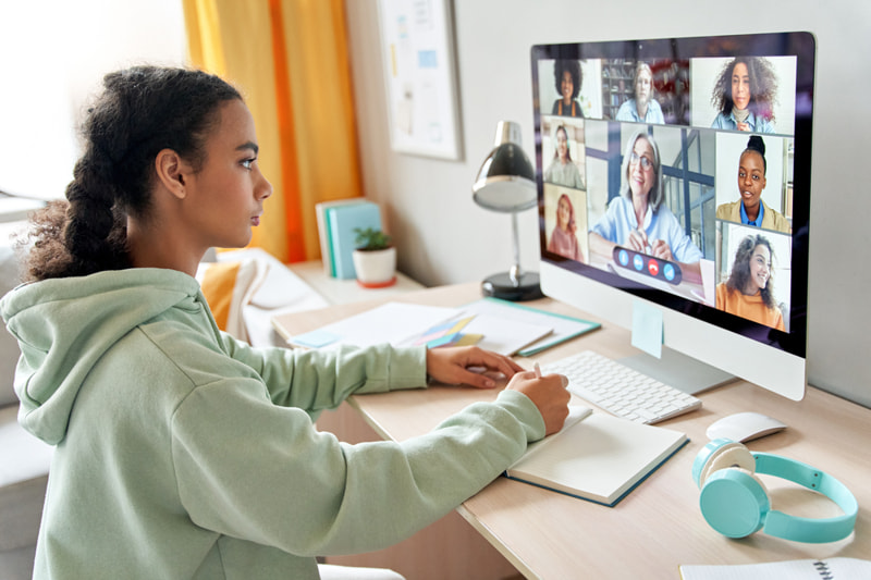 Remote learning video chat