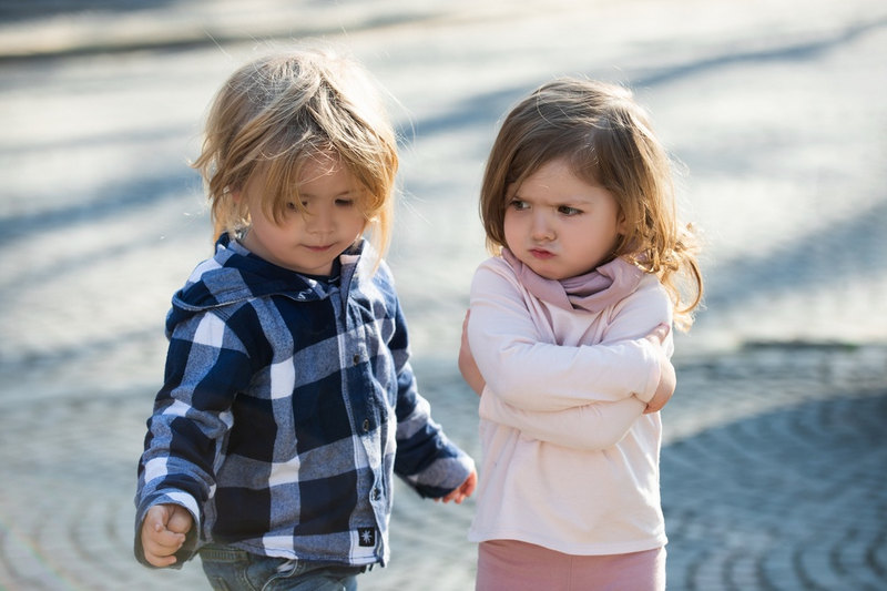 Toddlers Not Getting Along